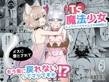 TS Mahou Shoujo Chevalier-chan to Sono Nakama wa Mesu ni Otosarete Mou Otoko ni Modorenai tte Maji desu ka!? cover