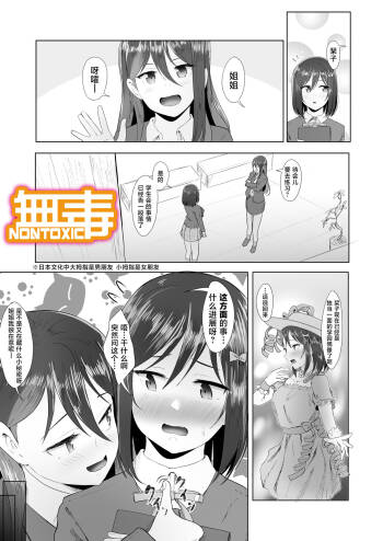Otome no Himegoto cover