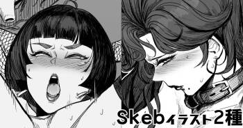 Skeb2種 cover