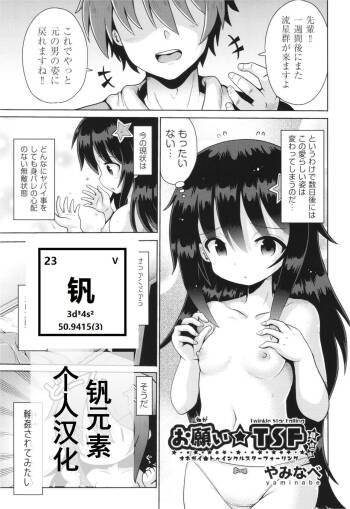 Onegai TSF Epilogue cover