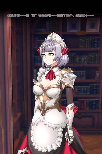 Noelle Library cover