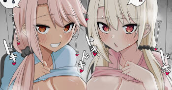 Chaldea Koakuma Sisters cover
