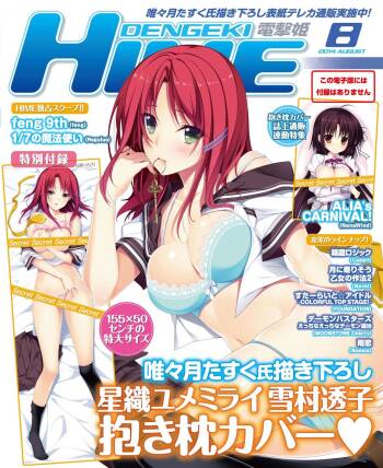 DENGEKI HIME 2014-08 cover