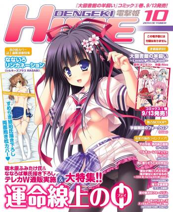 DENGEKI HIME 2014-10 cover