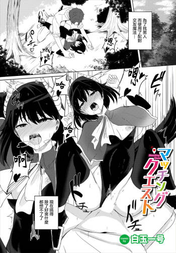 マッチングクエスト cover