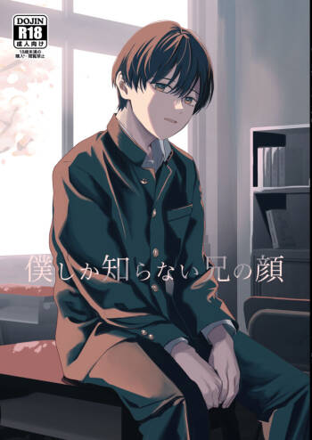 Boku shika Shiranai Ani no Kao cover