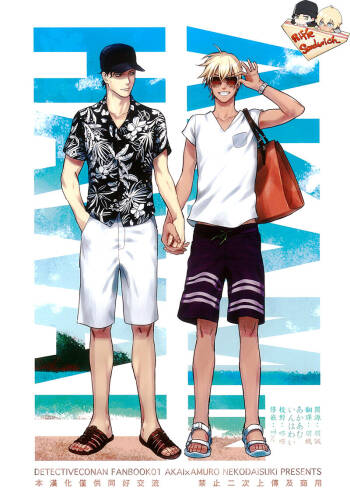 Detective Conan Aka-Mukan Hawai AKAM in HAWAII cover