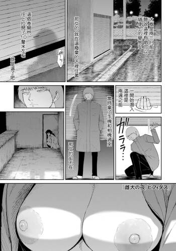 Mesuinu no Yoru cover