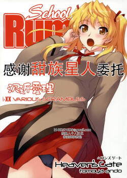 (C72) [Heaven‘sGate (Andou Tomoya)] Sawachika Eri ЬXX VARIOUS SCRAMBLES (School Rumble) [Chinese] [甜族星人X茄某人个人汉化]