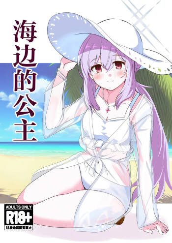 Umibe no Himegimi | 海边的公主 cover