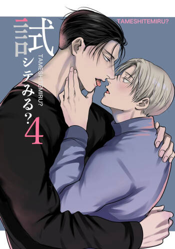 You Wanna Try 4 cover