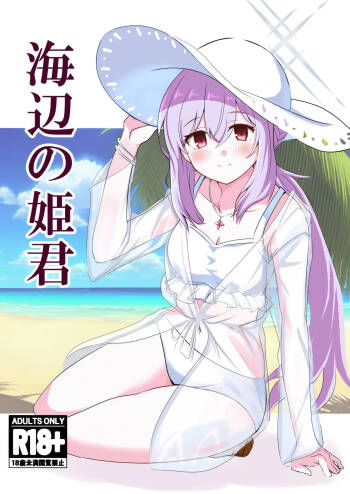 Umibe no Himegimi cover