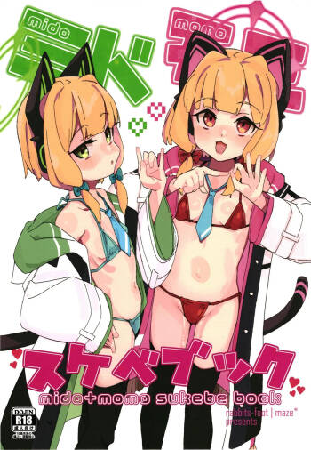 Mido+Momo Sukebe Book cover