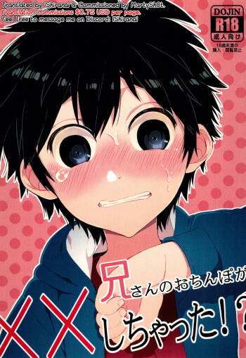 Niisan no Ochinpo ga XX shichatta!? cover
