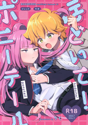 Hodoite! Ponytail cover