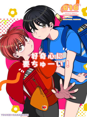 Koukishin ni You Chuui! cover