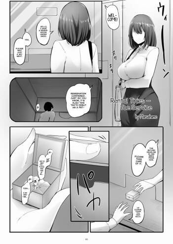 Rental Tinies - Toe Service cover