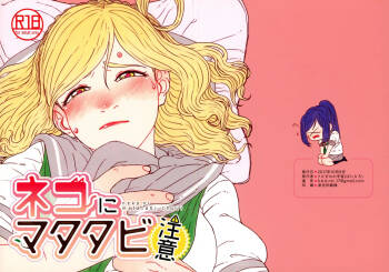 neko ni matatabi chuui cover