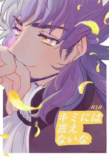 Kimi ni wa Ienai na cover