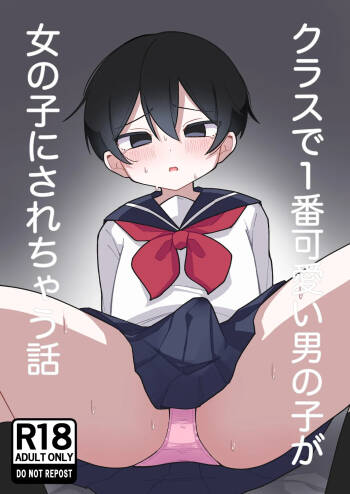 Class de Ichiban Kawaii Otokonoko ga Onnanoko ni Sarechau Hanashi cover