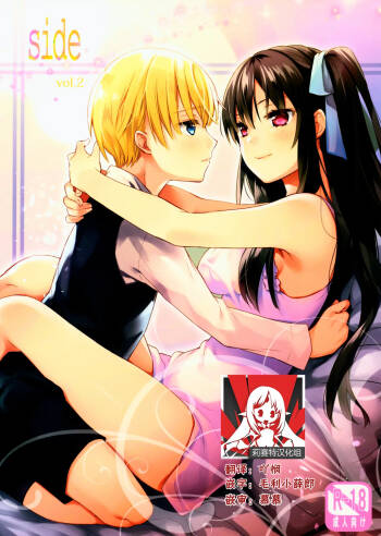 side vol.2 cover
