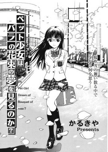 Pet Shoujo wa Bara no Hanataba Yume o Miru no ka? - Do Pet-Girl Dream of Bouquet of rose? | 宠物少女会梦见玫瑰花束吗? cover