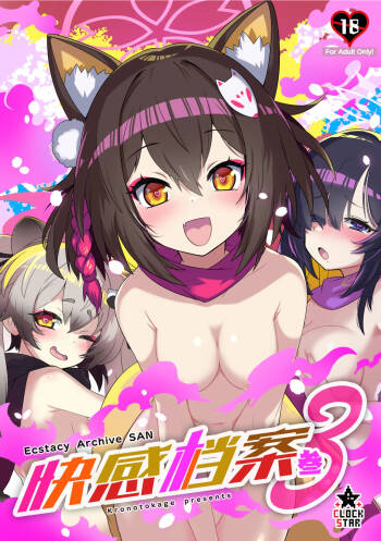 Kaikan Archive 3 - Ecstasy Archive SAN | 快感档案 3 cover