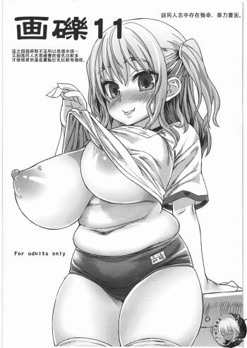 Gareki 11 cover