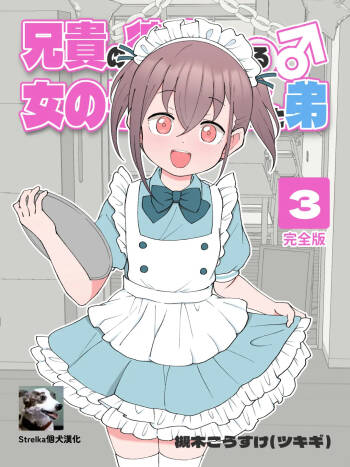 Aniki no Kanojo ni Naru, Onnanoko ni Nacchatta Otouto 3 cover