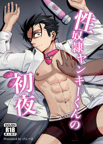 sei yakko ○ yankī kun no shoya cover