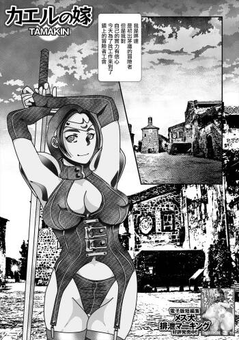 カエルの嫁。 cover