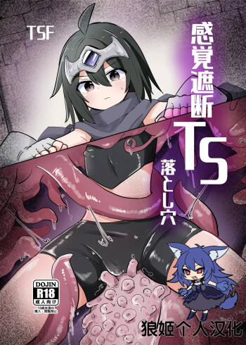 Kankaku Shadan TS Otoshiana cover