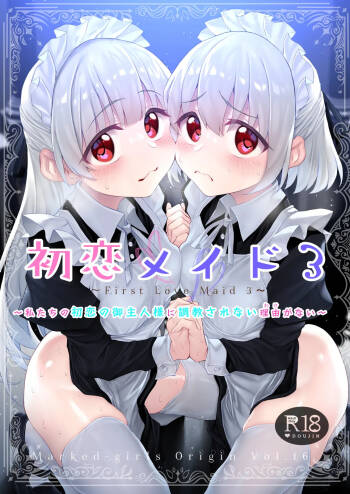 Hatsukoi Maid - First Love Maid 3 ~Watashitachi no Hatsukoi no Goshujin-sama ni Choukyou Sarenai riyu ga nai~ cover