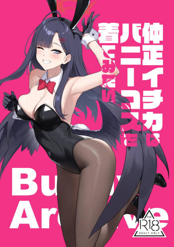 Nakamasa Ichika wa Bunny Cos o Kitemitai cover
