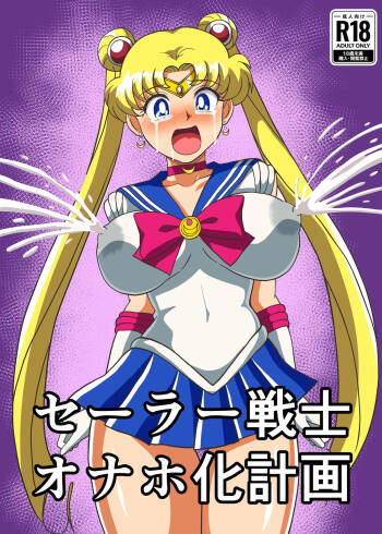 セーラー戦士 オナホ化計画 cover