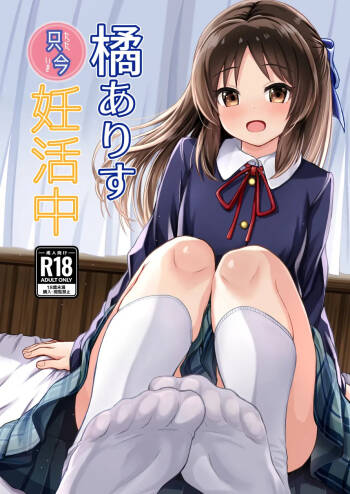 Tachibana Arisu Tadaima Ninkatsuchuu - ARISU-CHAN is currently trying to get pregnant. cover