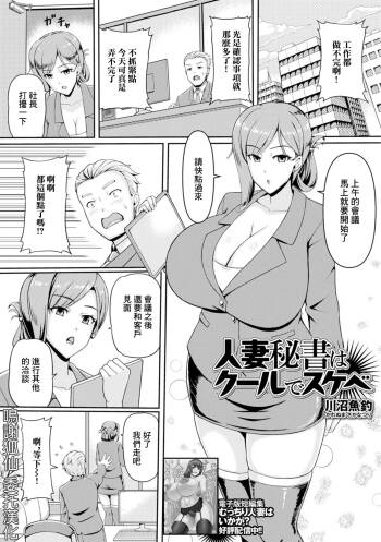 Hitozuma Hisho wa Cool de Sukebe cover