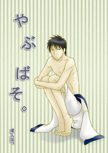 やぶばそ。 cover