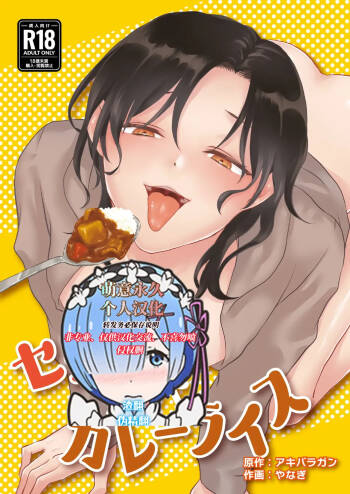 Sex and Curry Rice cover
