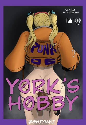 York’s Hobby cover