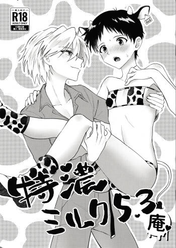 Nagisa wa Shinji o Wakarasetai! cover