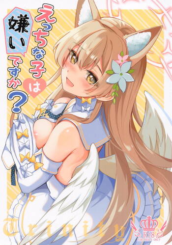 Ecchi na Ko wa Kirai desu ka? cover