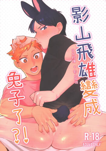 Tobio Kageyama Turned Into a Rabbit?! cover