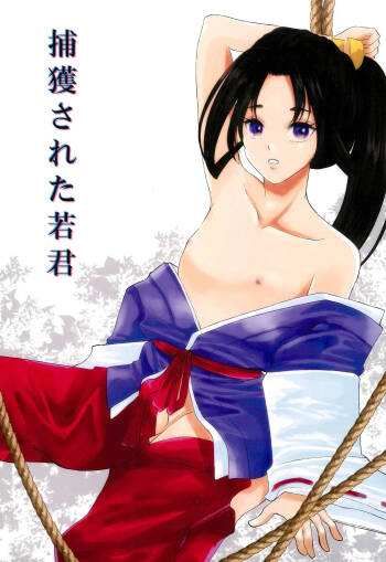 Hokaku sareta Wakagimi cover