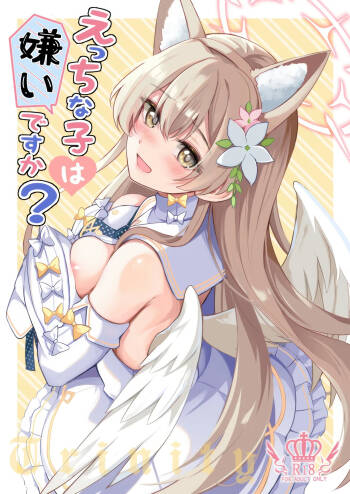 Ecchi na Ko wa Kirai desu ka? cover
