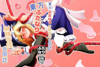 Touhou Futanari Shaseikanri Goudou-shi cover