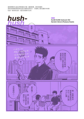 hush-hush cover