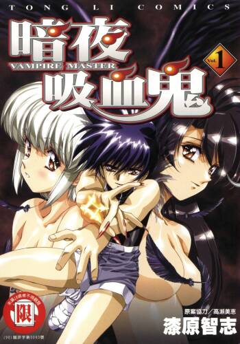 VAMPIRE MASTER 01 cover