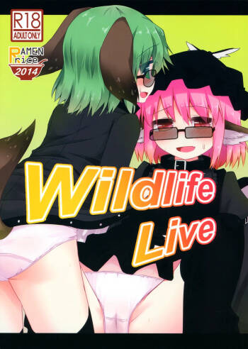 Wildlife Live cover