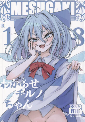 Wakarase Cirno-chan cover